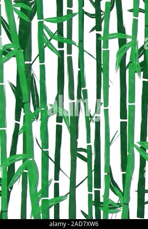 Bamboo ad acquerello Foto Stock