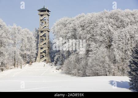 Torre di osservazione in Ebersberg, Baviera, in inverno Foto Stock