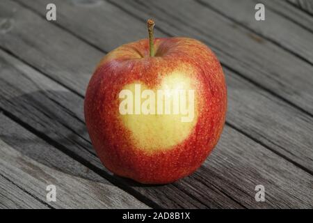 Malus domestica Jonagored, Apple, cuore sulla pelle Foto Stock