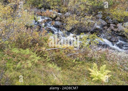 Paesaggio autunnale, Dundret riserva naturale, Gellivare, Lapponia, Svezia Foto Stock
