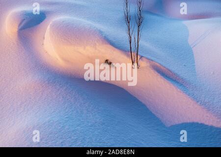 Formazioni di neve, Soeroeya Isola, Finnmark, Norvegia Foto Stock