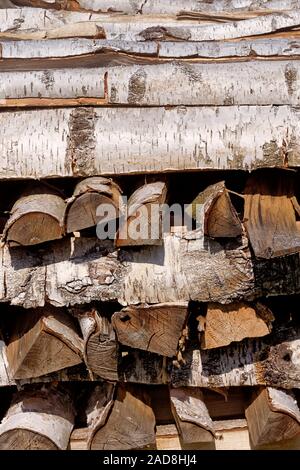 Legna da ardere di betulla Foto Stock