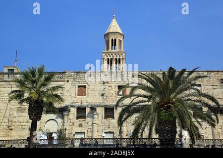 Palme sul lungolago Riva in Split, Croazia Foto Stock