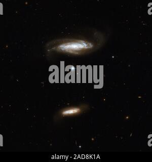 IC 2810 è un disco galaxy visto quasi di spigolo. È leggermente disturbata dalla interazione gravitazionale con un minore, polveroso companion (situato in fondo all'immagine.). La galassia più grande mostra nodi blu di formazione stellare. Anche se la coppia non ha alcuna regione di sovrapposizione al presente, è possibile che i due finiranno per collidere in futuro. IC 2810 si trova nella costellazione del Leone, il Leone, circa 450 milioni di anni luce di distanza. Questa immagine è parte di una grande collezione di 59 immagini di fusione di galassie prese dal Telescopio Spaziale Hubble e rilasciato in occasione della sua 18anni Foto Stock