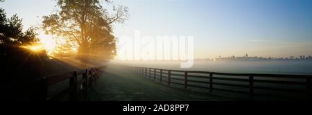 La luce solare che passa attraverso gli alberi, allevamento di cavalli, Woodford County, Kentucky, Stati Uniti d'America Foto Stock