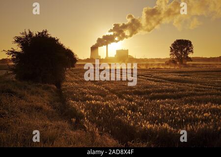 Disco di centrali elettriche a carbone Heyden, il riscaldamento globale, carbone phase-out, Petershagen, Germania Europa Foto Stock