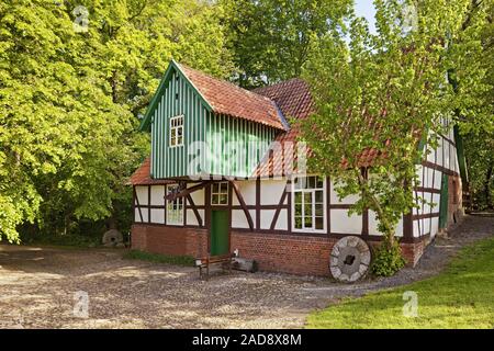 Mulino ad acqua Plaggenmuehle, Petershagen, East Westfalia, Renania settentrionale-Vestfalia, Germania, Europa Foto Stock