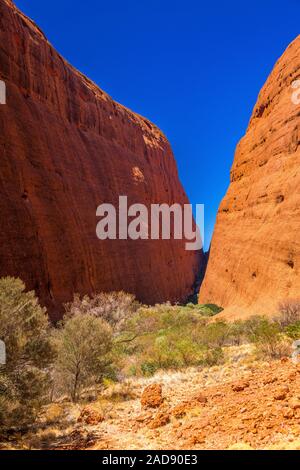 Walpa Gorge Walk attraverso l'Olgas è una parte iconica dell'Outback Australia. Parco Nazionale di Kata-Tjuta, territorio del Nord, Australia Foto Stock