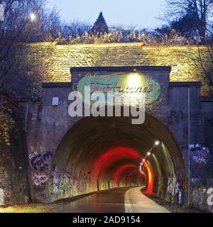 Tunnel, Dorrenberg Tanztunnel, ex binario, ora il percorso del ciclo di sera, Wuppertal, Germania Foto Stock