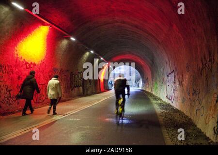 Tunnel, Dorrenberg Tanztunnel, ex binario, ora il percorso del ciclo di sera, Wuppertal, Germania Foto Stock