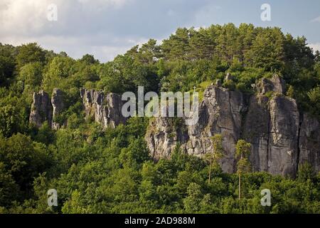 Gerolsteiner Dolomiten, un calcare Devoniano reef, Gerolstein, Renania-Palatinato, Germania, Europa Foto Stock