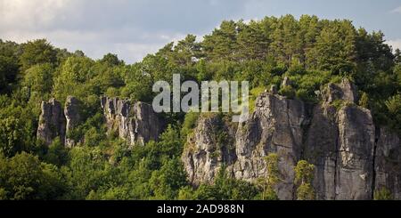 Gerolsteiner Dolomiten, un calcare Devoniano reef, Gerolstein, Renania-Palatinato, Germania, Europa Foto Stock