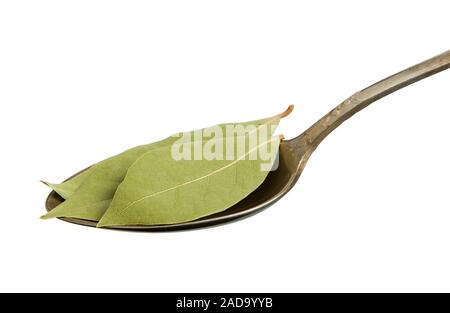 Asciugare le foglie di alloro in un recipiente isolato su uno sfondo bianco. Condimento su isolare. Vista da sopra. Foto Stock