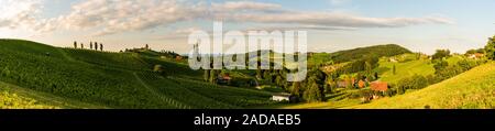 Panorama di vigneti in estate nel sud della Stiria, Austria località turistica, meta di viaggio. Foto Stock