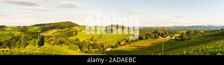 Panorama di vigneti in estate nel sud della Stiria, Austria località turistica, meta di viaggio. Foto Stock