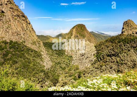 Il famoso weathered camini vulcanici nel Parco Nazionale di Garajonay, La Gomera, Spagna Foto Stock