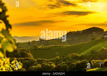 Uva austriaco colline vista dalla strada del vino in estate. Destinazione turistica, spot di viaggio. Foto Stock