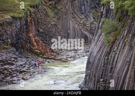 Valley Studlagil con colonne di basalto e glacier river Jorkulsa un Bru, Est Islanda Islanda Foto Stock