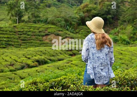 Tourist in Cameron Highlands grean hill la piantagione di tè la sua natura unica in Malesia Foto Stock