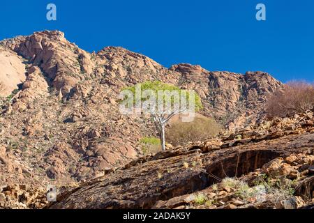 Brandberg paesaggio di montagna, Namibia Foto Stock