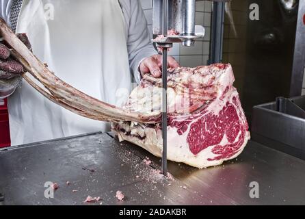 Materie secco wagyu invecchiato nervatura della carne di manzo prima di tagliare fino come closeup presso il banco sega a nastro Foto Stock