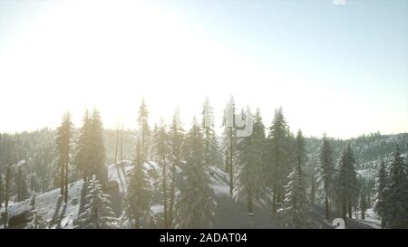 Paesaggio di montagna su un inverno giornata di sole Foto Stock