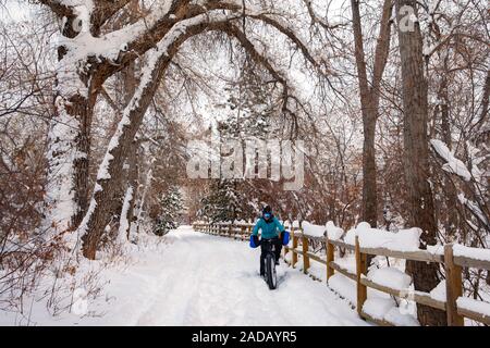 Ciclista sulla coperta di neve Clear Creek Trail - Golden, Colorado, STATI UNITI D'AMERICA Foto Stock