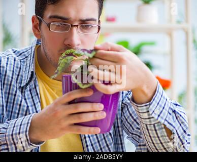 Giovane uomo fioraio lavora in un negozio di fiori Foto Stock