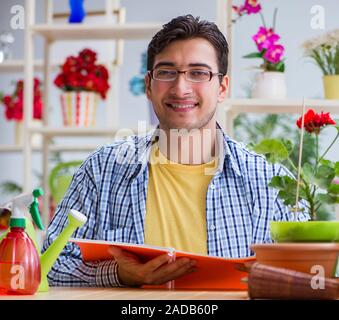 Giovane uomo fioraio lavora in un negozio di fiori Foto Stock