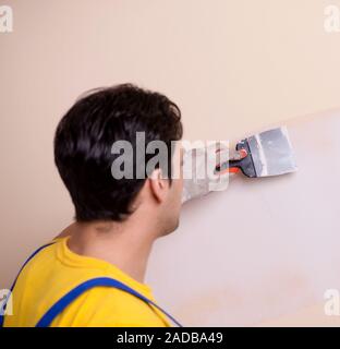 Giovane dipendente del contraente di applicare gesso sulla parete Foto Stock