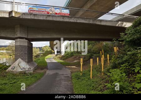 Mozzo del traffico con l'autostrada A46 e la Valle della Ruhr Cycleway nei pressi di Neheim, Arnsberg, Germania, Europa Foto Stock