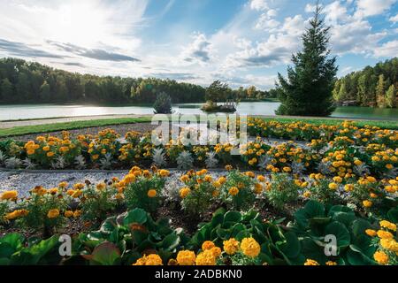 Estate paesaggio del lago con cristallo e acqua fresca Aya Foto Stock