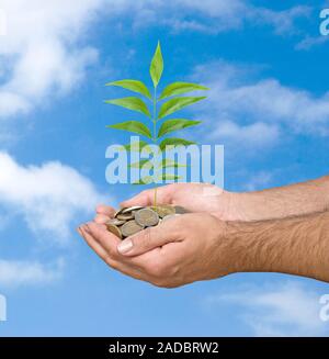 Le palme con un albero growng dalla pila di monete Foto Stock