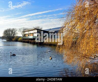 Attenborough riserva naturale, centro, Nottingham, Regno Unito Foto Stock