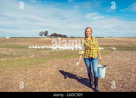 Contadino con la sua oche su un allevamento di polli Foto Stock