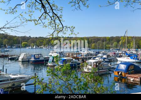 Bootsanleger Große Malche, Tegeler See, Tegel, Reinickendorf, Berlino, Deutschland Foto Stock