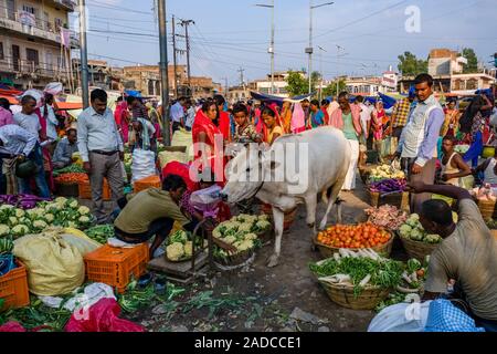 I fornitori e i clienti di fronte al settimanale mercato ortofrutticolo, una vacca a piedi attraverso Foto Stock