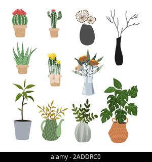 Set di fiori isolati in vasi e cestelli - piante succulente, cactus, monstera. Piatto di vettore Illustrazione Vettoriale