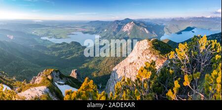 Panorama di montagna, vista da Herzogstand sul Lago di Kochel e il Lago Walchensee con Rabenkopf, Benediktenwand e Jochberg, Alpi Alta Baviera Foto Stock