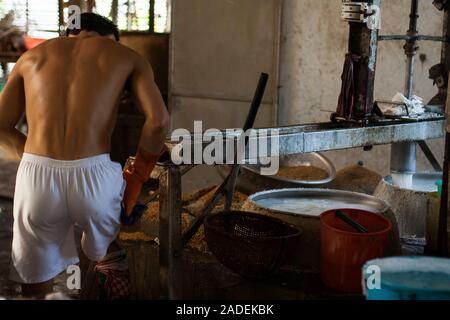 Lavoratore in azione durante la produzione artigianale di vietnamiti riso tagliatelle in corrispondenza di una piccola famiglia di proprietà di fabbrica in ben tre, Vietnam del Sud. Foto Stock