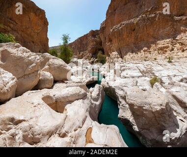 Piscina con acqua dolce, Wadi Bani Khalid, Shamal distretto di cenere Sharqiyya, Oman Foto Stock