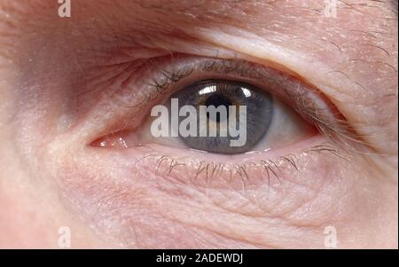 Close-up di un occhio Foto Stock