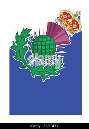 Il Thistle simbolo della Scozia su uno sfondo bianco Illustrazione Vettoriale