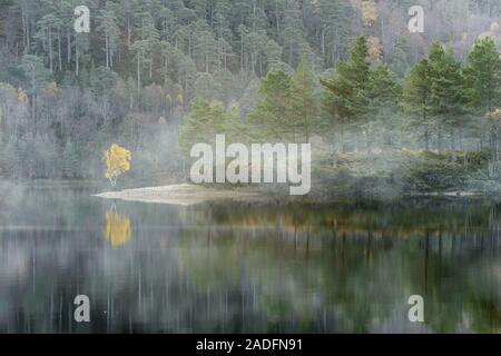 Loch Beinn un Mheadhoin, Glen Affric, Scozia Foto Stock