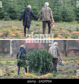 Tempelberg, Germania. 04 Dic, 2019. KOMBO - foto combo mostra due persone che camminano mano nella mano con una motosega a motore ad un albero di Natale plantation nei locali della Lürssen vivaio forestale (sopra) e provenienti un po' più tardi con un abete Nordmann che avevano picchiato stessi. Circa 5.000 piante come abeti, serbo abete Nordmann abete e costiere stand fir sul sito. Qui tutti possono tagliare la sua struttura ad albero scelto se stesso. Credito: Patrick Pleul/dpa-Zentralbild/ZB/dpa/Alamy Live News Foto Stock