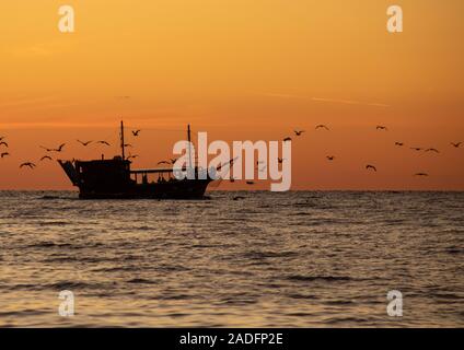 Barca dopo il tramonto con alcuni uccelli / Gabbiani. Preso in una serata calda a Vrsar / Croazia Foto Stock