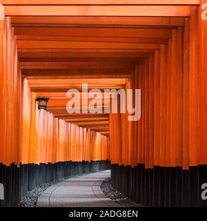 Torii percorso in corrispondenza di Fushimi Inari Taisha a Kyoto, Giappone Foto Stock