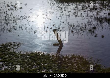 Sylt, Morsum, Salzwiesen am Watt Foto Stock