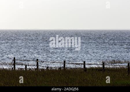 Sylt, Morsum, Salzwiesen am Watt Foto Stock