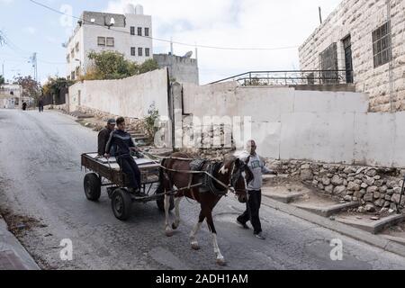 Hebron, West Bank. 4 dicembre, 2019. Palestinesi guidare un carro trainato da cavalli a Hebron. Difesa israeliano Ministro Bennett ha recentemente annunciato la sua approvazione della costituzione di un nuovo quartiere ebraico nella prevalentemente città palestinese di Hebron nei pressi del vecchio mercato di frutta e verdura. I terreni acquistati dagli ebrei che vi risiedono nei primi anni del XIX secolo, fu abbandonato dopo il 1929 massacro in cui 67 ebrei furono assassinati dai rivoltosi arabi. Credito: Nir Alon/Alamy Live News. Foto Stock